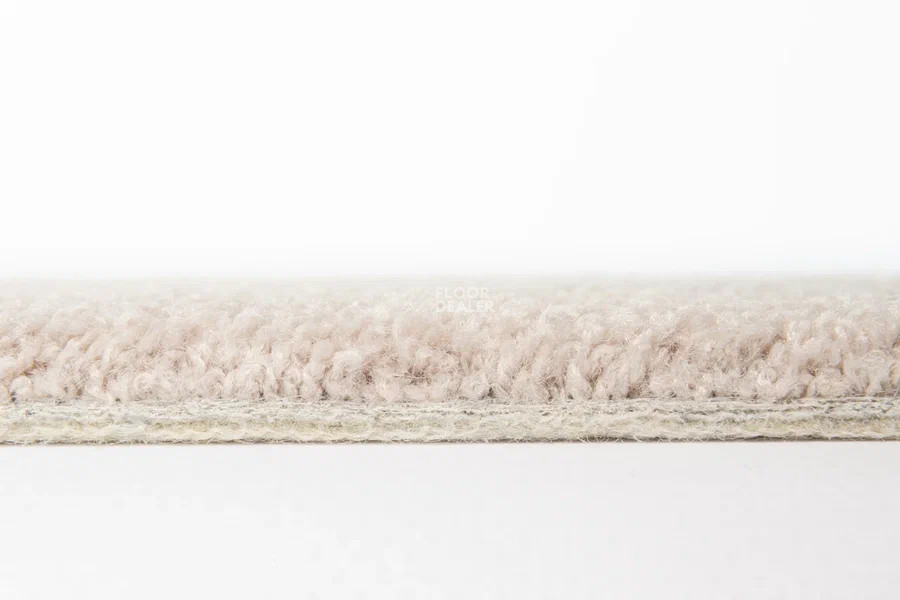 Vorwerk Superior 1065/Viola Vorwerk 8k03 фото 4 | FLOORDEALER